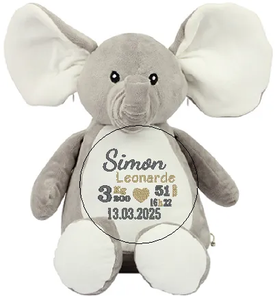 Elephant naissance.webp