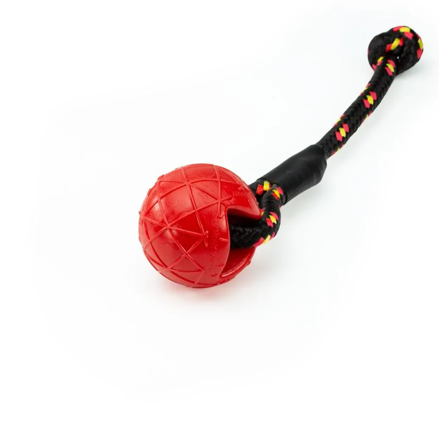 moby-dog-ball-avec-boucle-par-speed-dogsport (2).webp