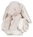 lapin couverture.webp