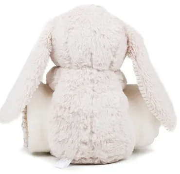 lapin couverture dos.webp