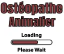 Ostéopathe animalier image.webp