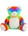 Peluche Ourson arc-en-ciel