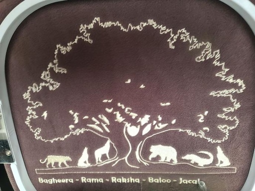 Broderie Dos (25cm/25cm max)